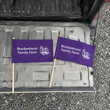 Wholesale custom mini flags
